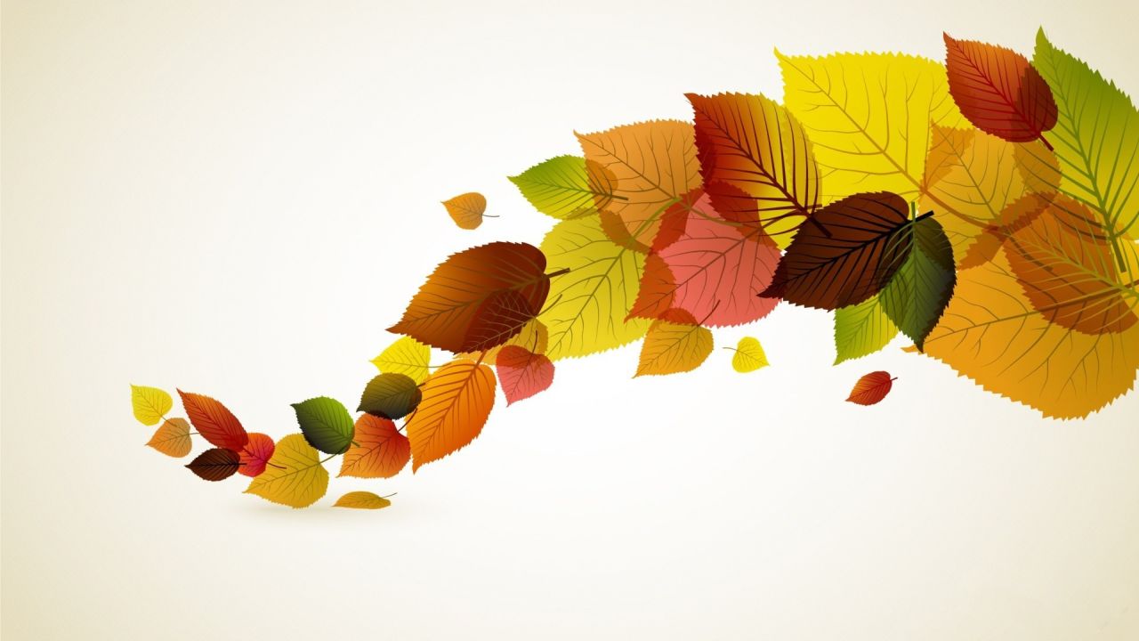 Colorful autumn leaves on a light background
