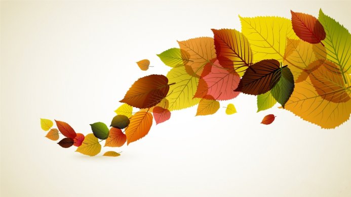 A colorful arrangement of autumn leaves in shades of yellow, orange, red, and green