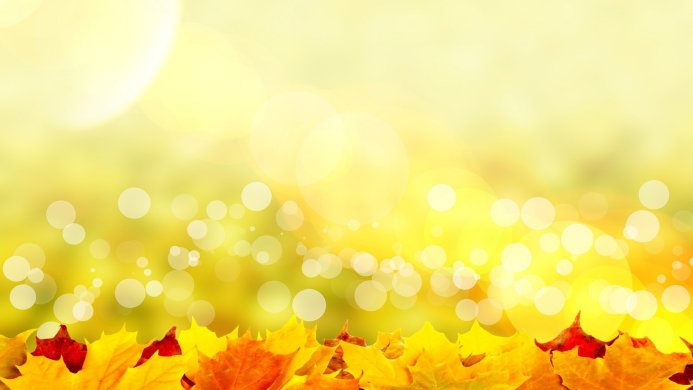 Autumn maple leaves with blurred bokeh lights in the background