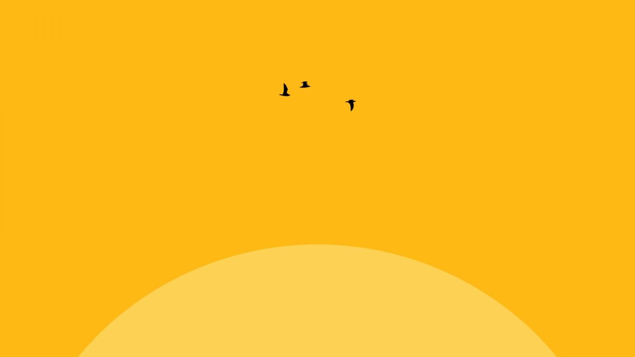 Birds flying over the sun