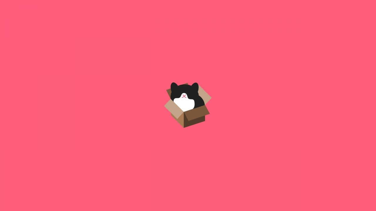 Minimalist cartoon cat in box pink background