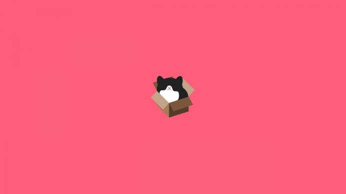 Black and white cat sitting inside of a brown cardboard box on a pink background