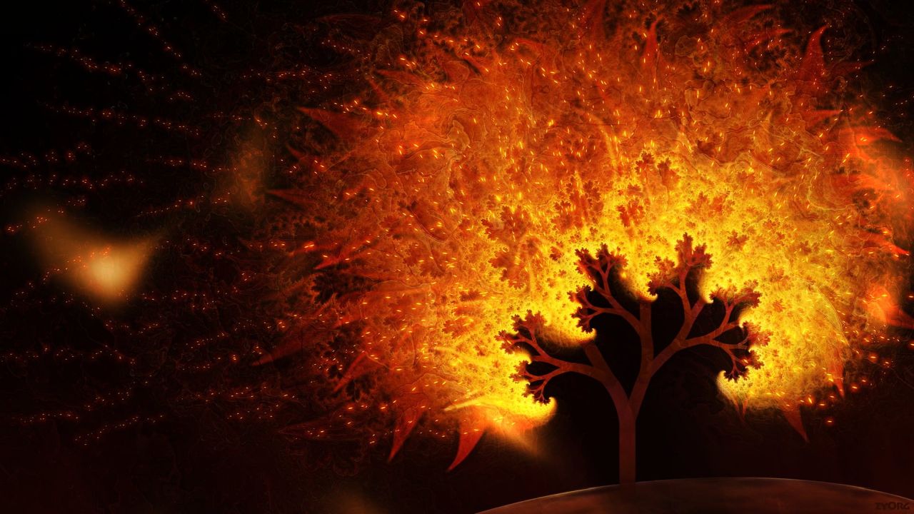 Burning fractal tree