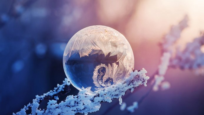Frozen bubble on a branch covered with snow crystals