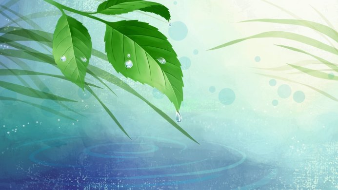 A green leaf with water drops over a water surface with ripples