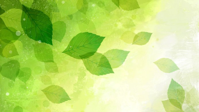Fresh green leaves on a textured background with bokeh effects and varying opacities
