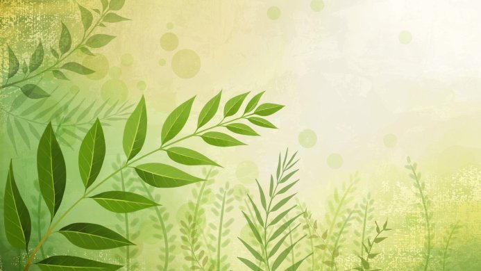 Green leaves and branches illustration with a light green background