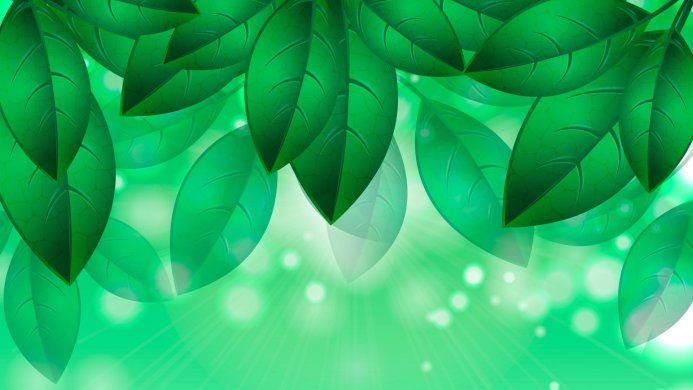 A green background with leaves and bright light shining through