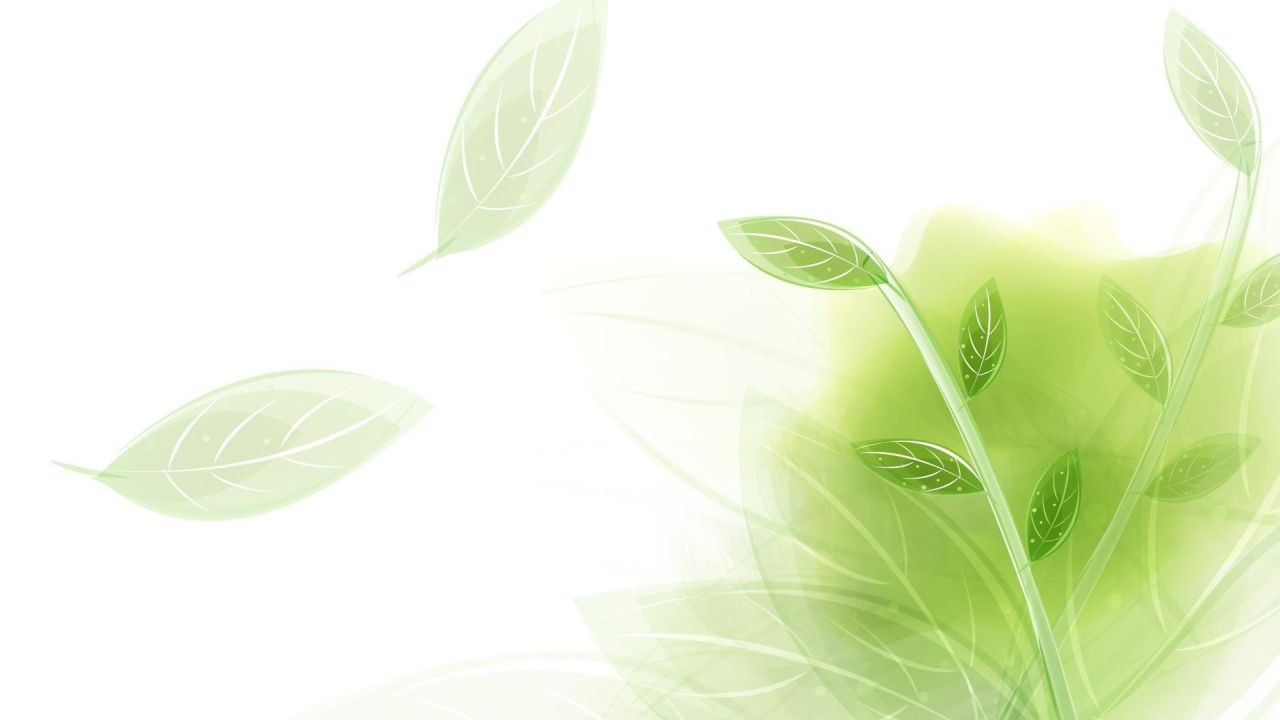 Green leaves on a white background