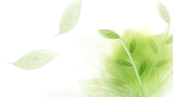 Illustration of green leaves and stems on a white background
