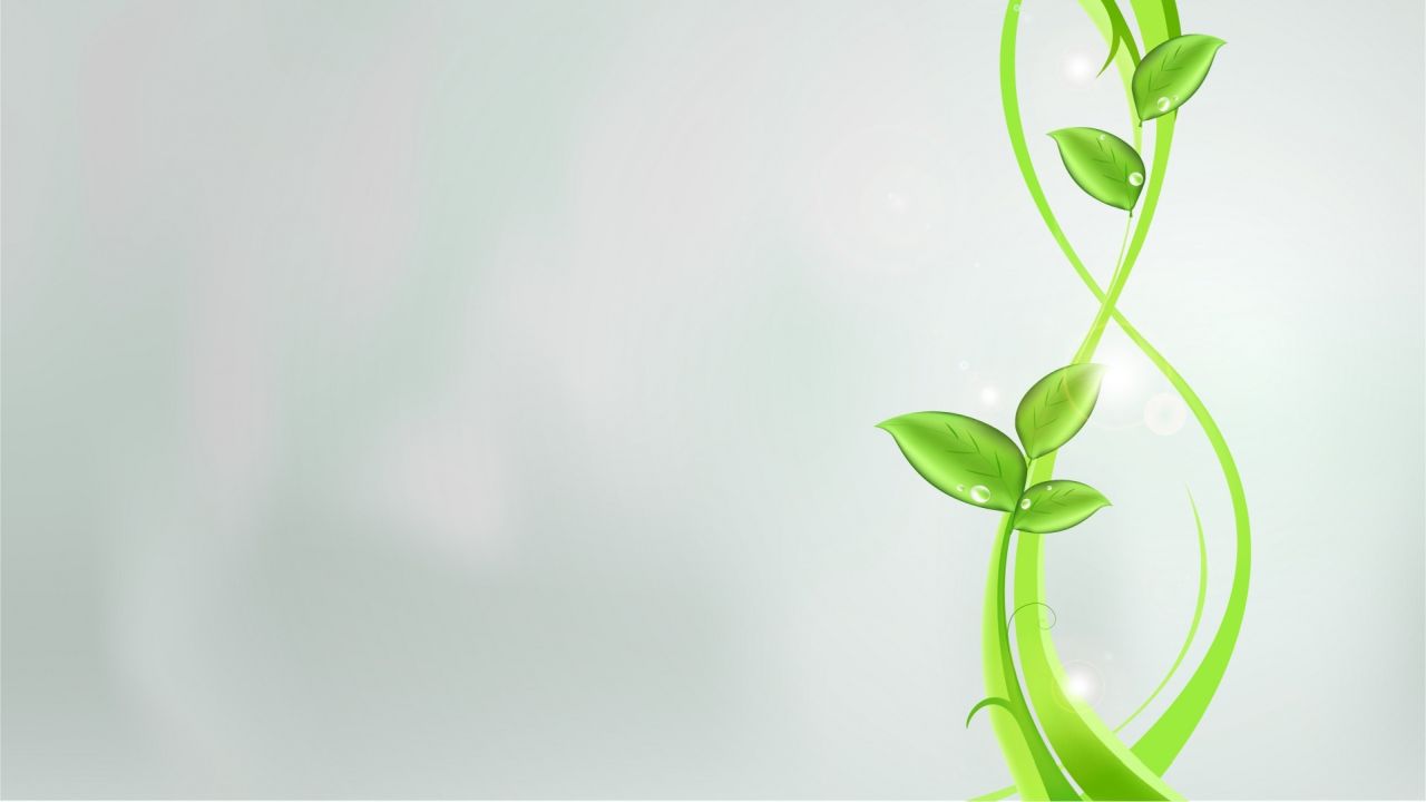 Green leaves with water droplets