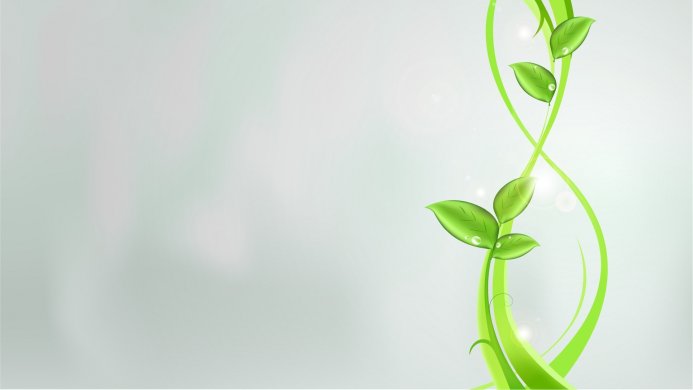 A vector image of green leaves and vines on a light background