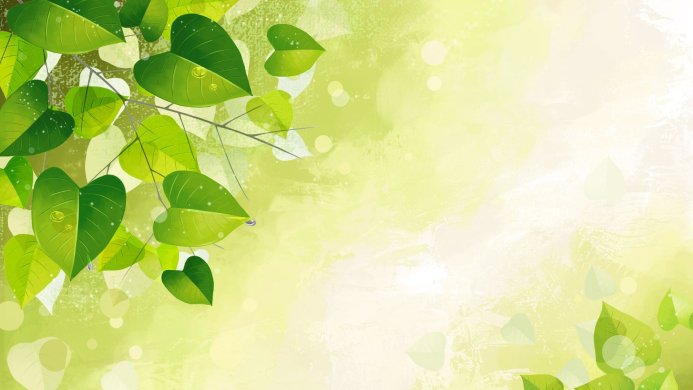 Green leaves with water droplets on a branch against a light green background