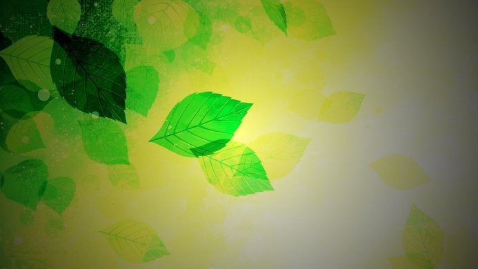 Green and yellow leaves on a bright background, nature wallpaper