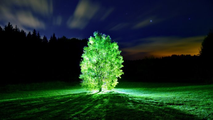 A single tree illuminated at night under a starry sky with blurred clouds