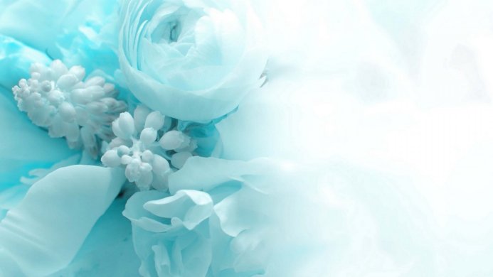 A light blue floral arrangement with ranunculus and muscari flowers, with soft focus