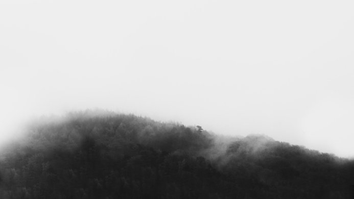 Monochrome image of trees shrouded in mist on the slope of a mountain