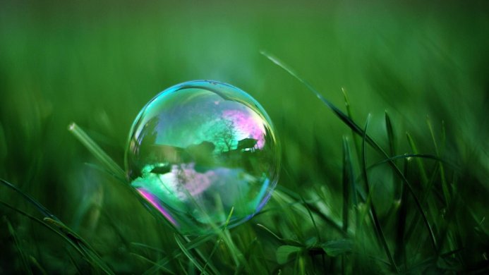 A soap bubble on green grass reflects a house and trees