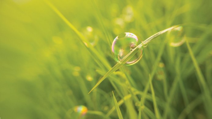 A soap bubble resting on a blade of green grass, illuminated by sunlight