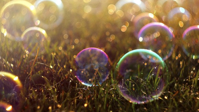 Soap bubbles resting on blades of grass, illuminated by sunlight