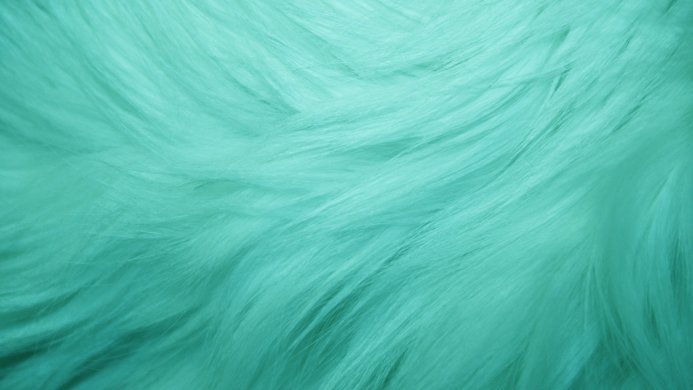 Close-up shot of teal-colored feathers creating a soft texture