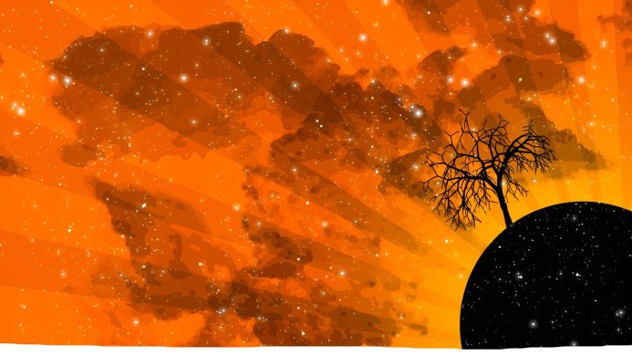 Silhouette of a tree against an orange and yellow sunset with stars