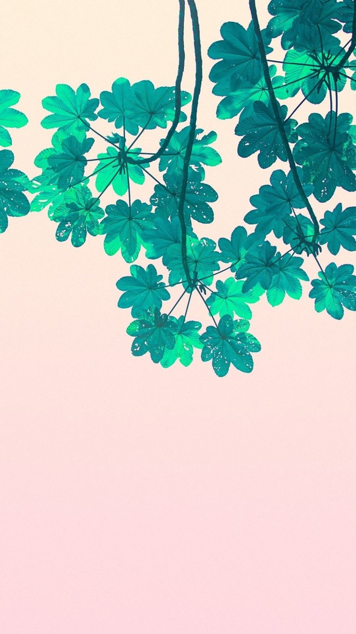 Turquoise leaves and branch against a soft pink background