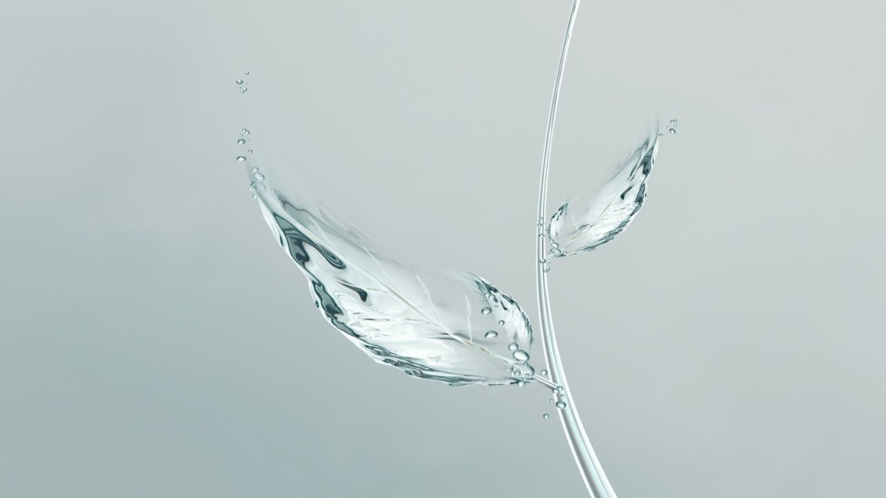 Water leaves on a light background