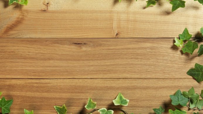 Wooden planks with green ivy leaves in the corners of the image