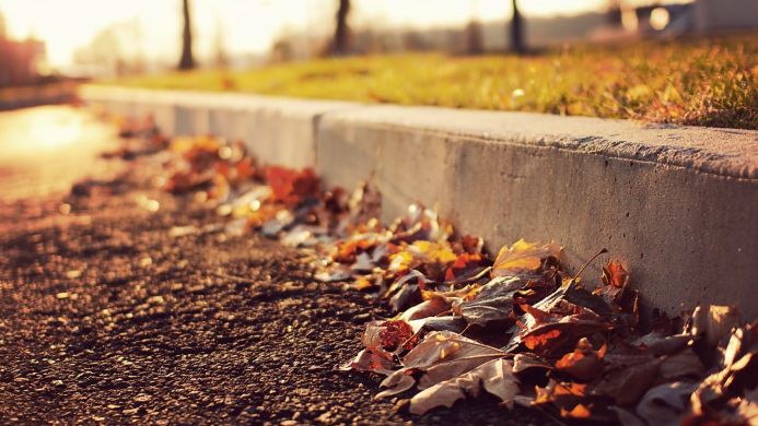 Autumn leaves on the ground next to a curb, with grass and trees in the background