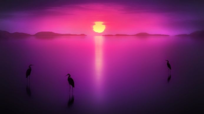 Three birds stand in a lake as the sun sets, reflecting light on the water