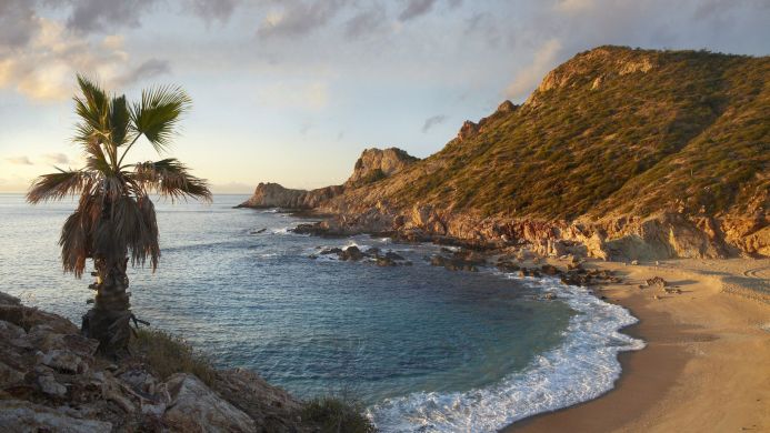 Coastal landscape with a palm tree on the left and mountain on the right, with blue water and a sandy beach