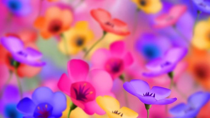 A colorful display of purple, pink, yellow, orange, and blue flowers