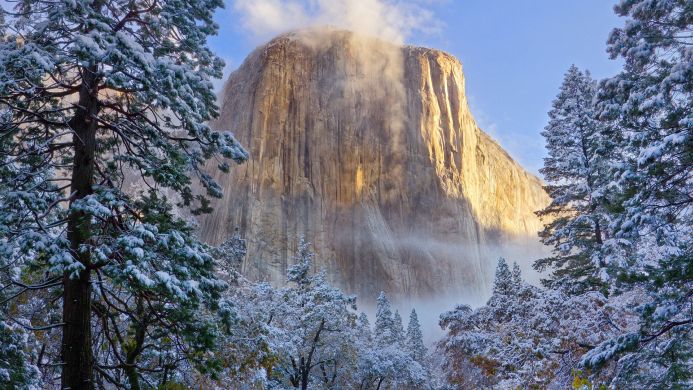 El Capitan in winter, with snow-covered trees in the foreground