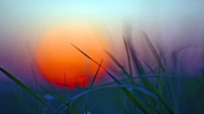 A close-up of grass blades with a blurred sun in the background, creating an abstract landscape