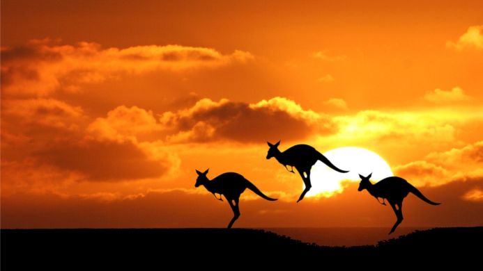Silhouettes of three kangaroos hopping against a bright orange sunset sky
