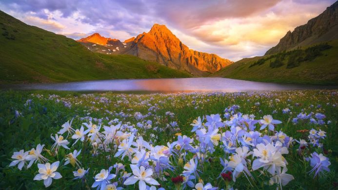 Mountain lake surrounded by wildflowers at sunset
