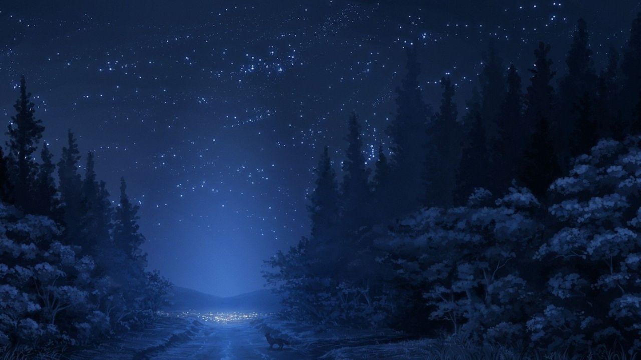Fox in forest under starry night