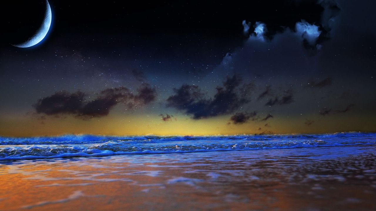 Moonlit ocean waves at night