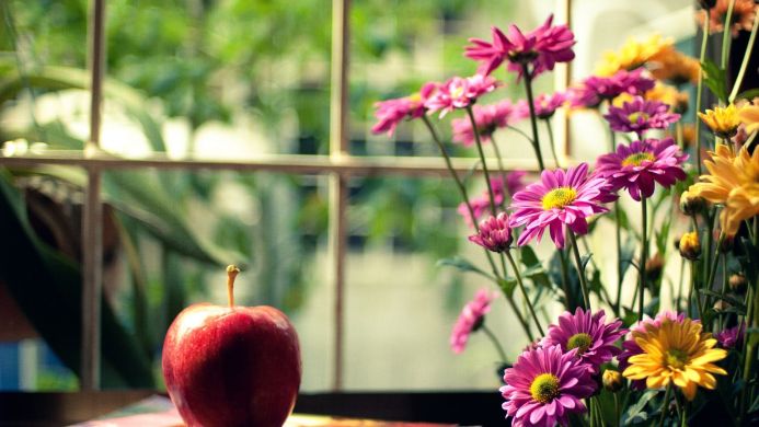 A red apple and vibrant pink and yellow flowers are displayed in front of a window