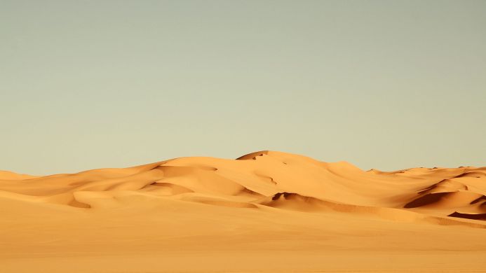 Rolling sand dunes under a clear sky in a desert landscape