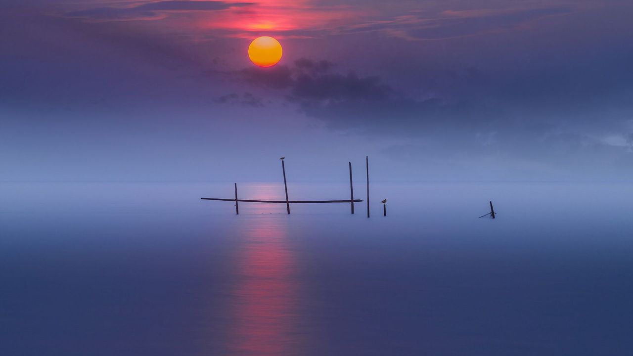 Birds on wooden structure during sunset