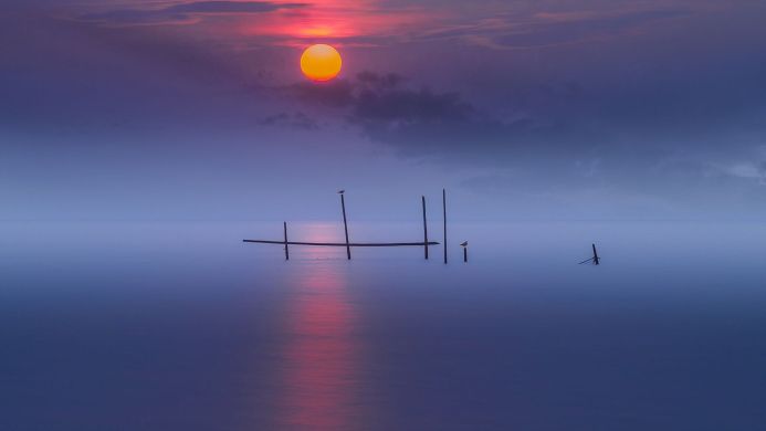 Sunrise over a calm sea with wooden posts and birds perched on top