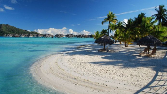 Tropical beach with palm trees, umbrellas, lounge chairs, and overwater bungalows in turquoise water