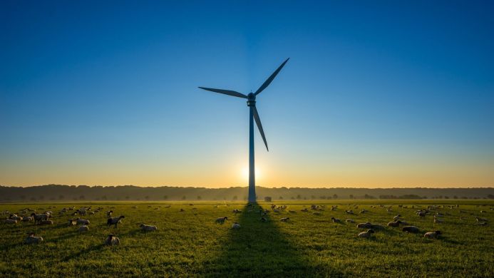 Wind turbine and sheep in a green field under a blue and yellow sky