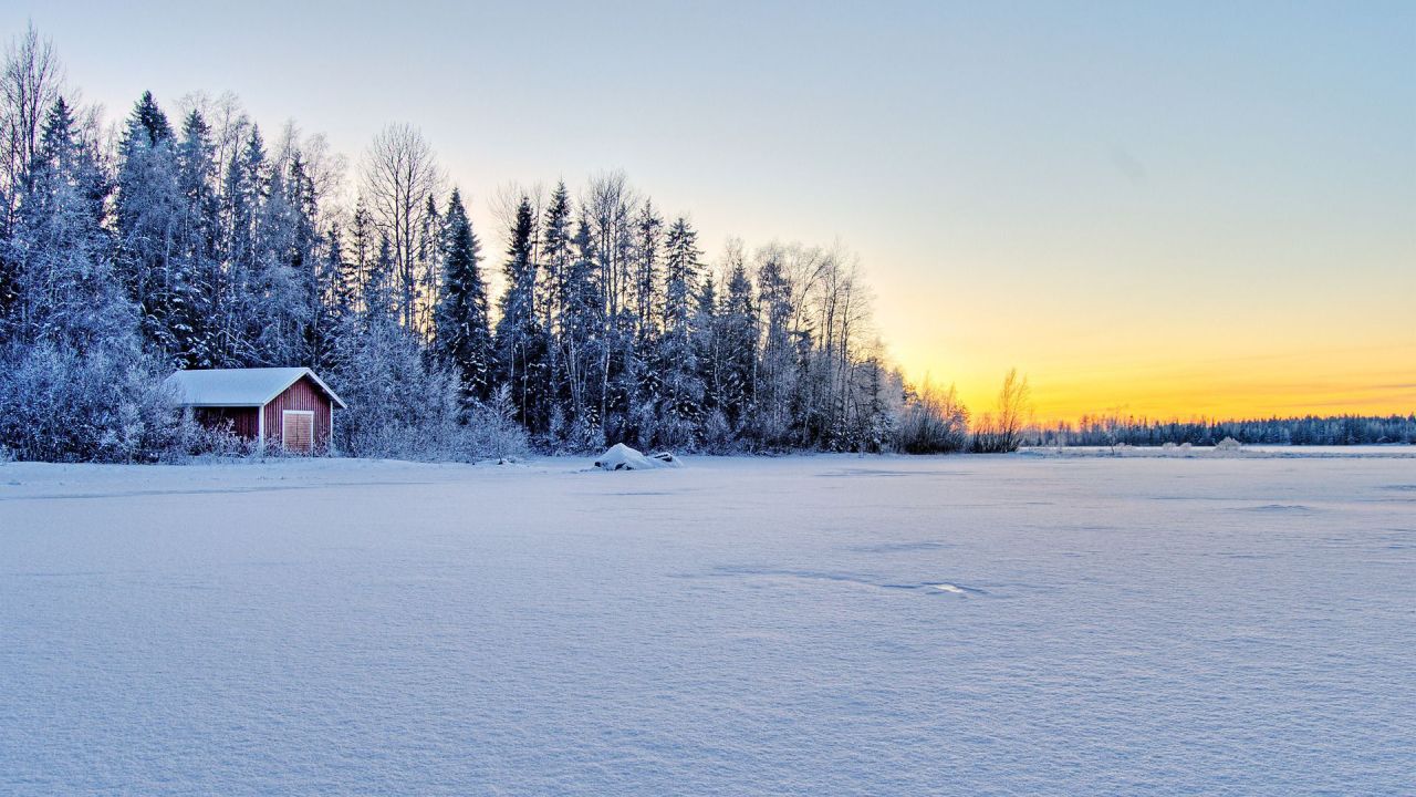 Snowy landscape with a cabin and trees