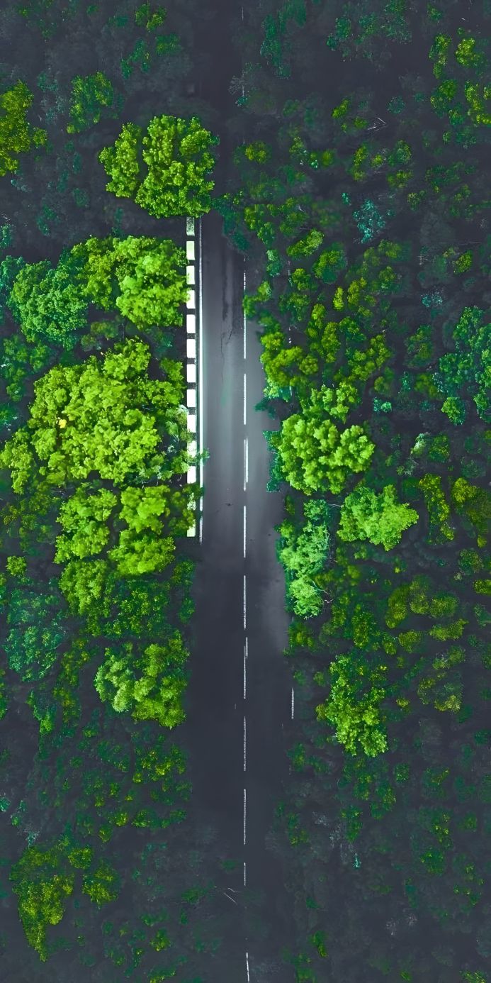 Aerial view of a road cutting through a dense green forest