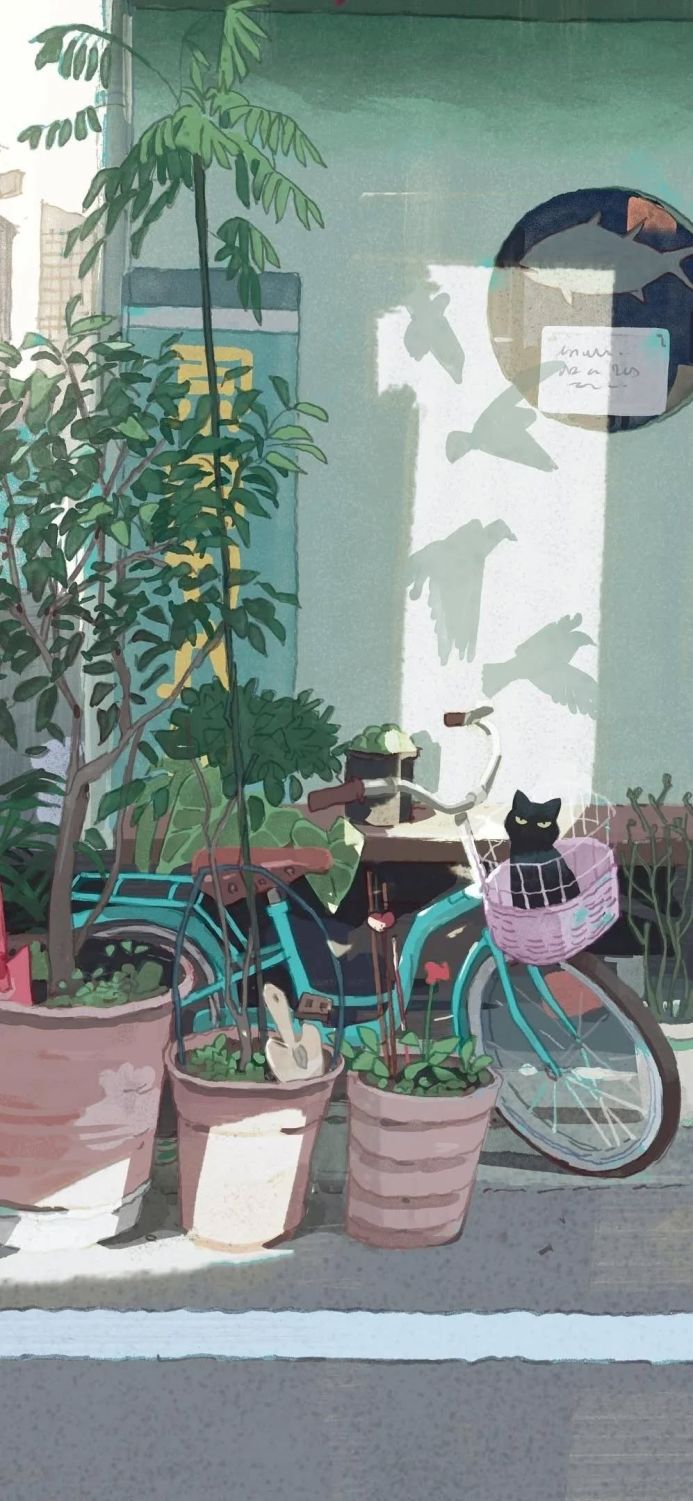 Illustration of a bicycle with a cat in the basket and plants on a city street