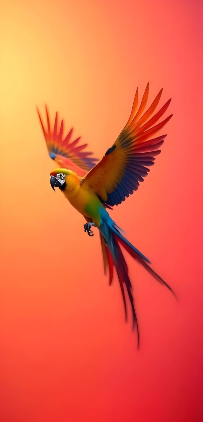 A colorful parrot in flight against a gradient orange and red background