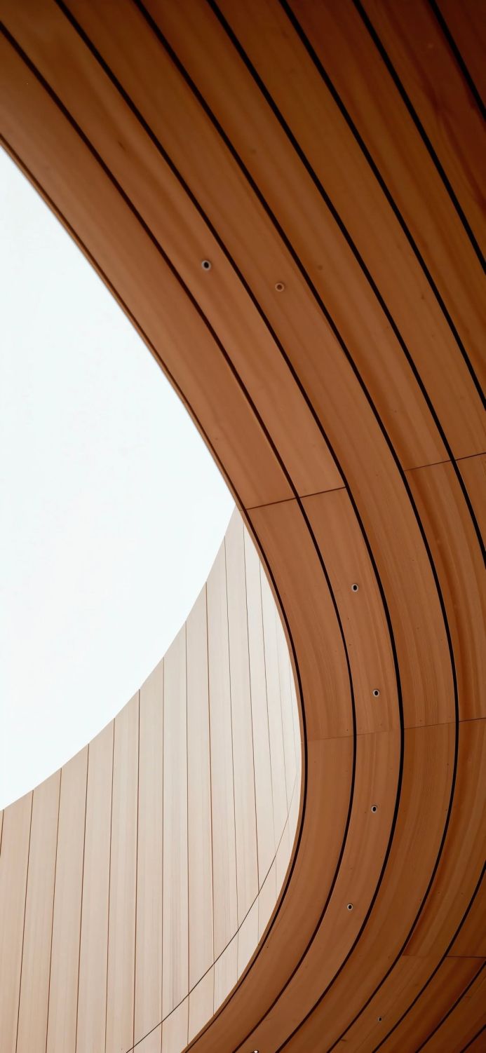 Curved wooden panels forming an architectural wall and ceiling design